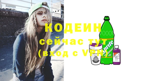 спиды Арсеньев