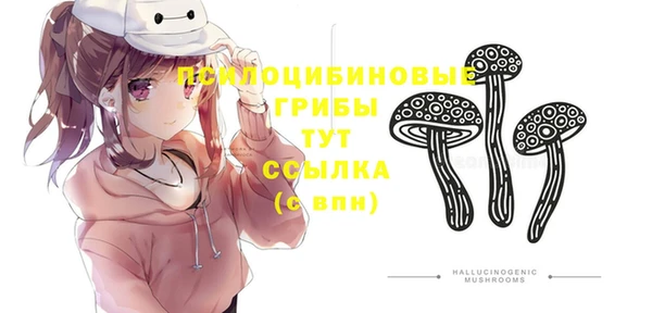 спиды Арсеньев