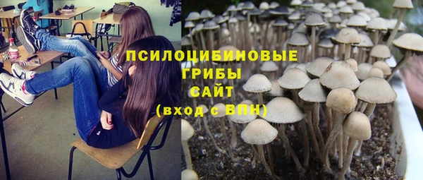 спиды Арсеньев