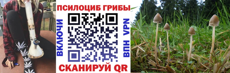 цена   Краснотурьинск  Галлюциногенные грибы мицелий 