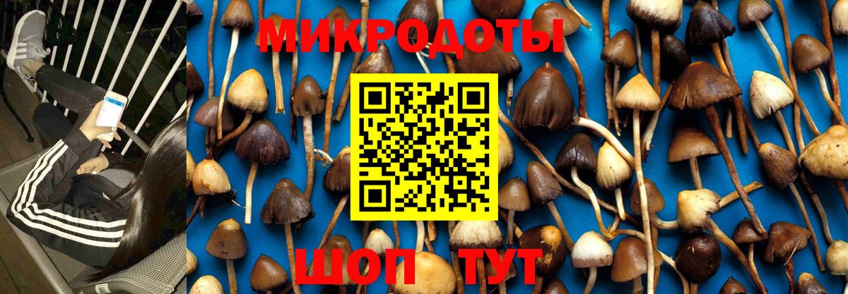 Галлюциногенные грибы прущие грибы  Псилоцибиновые грибы MAGIC MUSHROOMS  Краснотурьинск  Вход с VPN 